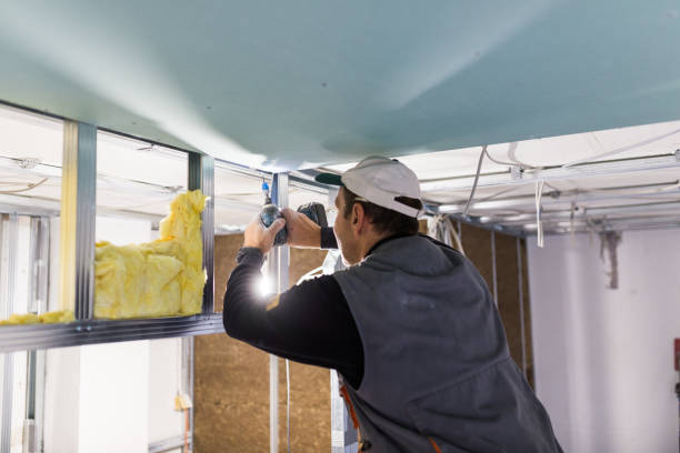 Best Eco-Friendly Insulation in Eustace, TX