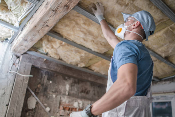 Best Spray Foam Insulation in Eustace, TX
