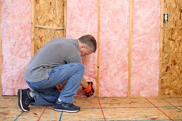 Professional Insulation Contractor in Eustace, TX
